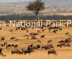 Gorongosa interactive map answer key