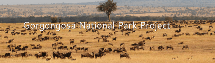 Gorongosa interactive map answer key