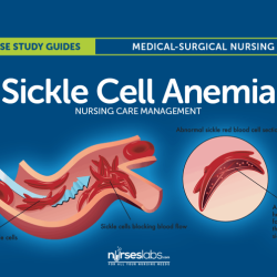 Nclex questions on sickle cell anemia