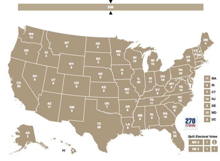 Electoral college pros and cons essay