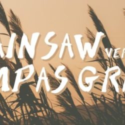 Chainsaw pampas grass versus analysis poem