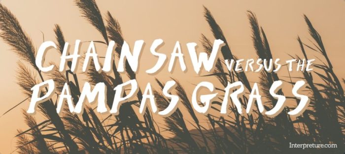 Chainsaw pampas grass versus analysis poem