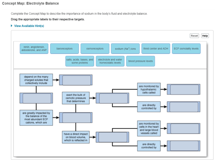 Fluid and electrolyte concept map