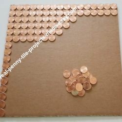 Pennies many foot square fit sf penny