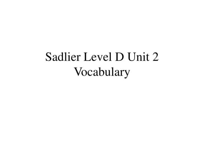 Sadlier vocab