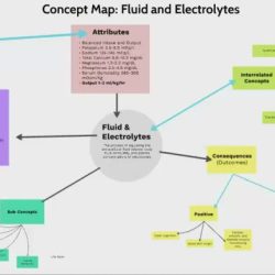 Concept map fluid electrolyte prezi