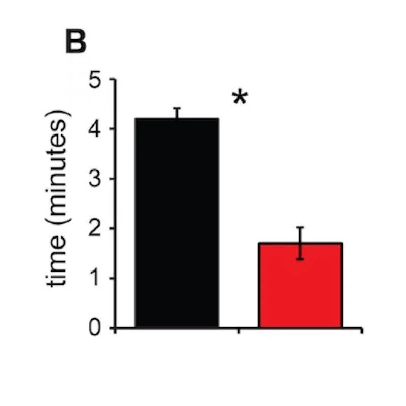 Modeling the regulatory switches of the pitx1 gene